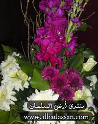 bilassan-fe4c9f77fd.jpg
