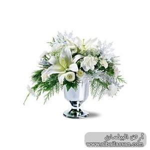 bilassan-1e04cd9cbc.jpg