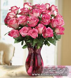 bilassan-61388c6225.jpg
