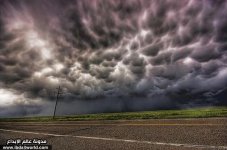 tn_mammatus3.jpg