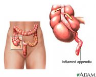 appendix3.jpg