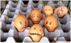 funny-eggs-photos-20.jpg